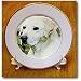 Light Cream Labrador - 8 Inch Porcelain Plate