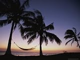 Twilight View of Beach with Hammock and Palms, Costa Rica National Geographic Collection Photographic Poster Print by Michael Melford, 48x36