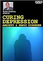 Curing Depression Anxiety & Panic Disorder