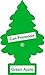 Little Trees Hanging Car and Home Air Freshener, Green Apple (Pack of 24)