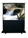Celexon Leinwand Ultramobil Plus Professional 200 x 200 cm