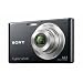 Sony DSC-W330 14.1MP Digital Camera with 4x Wide Angle Zoom with Digital Steady Shot Image Stabilization and 3.0 inch LCD (Black)