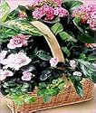 Square Planter Basket