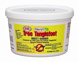 Tanglefoot 300000684 Tree Tanglefoot - 15 oz Tub