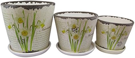 Set of 3 Planters - Ceramic Vase Daffodil - Sizes 6-5-4 Inches