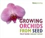 Growing Orchids from Seed