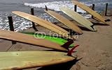 Wallmonkeys Peel and Stick Wall Decals - Vintage Surfboards - Removable Graphic