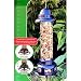 Outdoor Living : Squirrel proof bird feeder