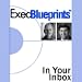 In Your Inbox: Using Email Direct Marketing to Increase Sales: ExecBlueprint (Unabridged)
