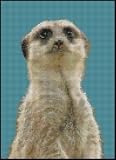 Meer Kat 3 Complete Counted Cross Stitch Kit 9.5 x 7 Meerkat