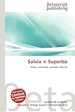 Salvia Ao Superba-