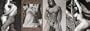 Bruce Weber/calvin Klein Jeans Magazine Supplement For Vanity Fair Magazine