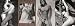 Bruce Weber