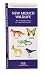 New Mexico Wildlife, 2nd: An Introduction to Familiar Species (State Nature Guides)