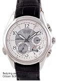Citizen Men's Multi-Hand Analog Perpetual Calendar Watch # BL9000-32A