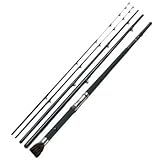 �T�N��(SAKURA) ���o��� �����C�� 5.1m