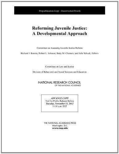 Reforming Juvenile Justice:: A Developmental Approach by Committee on Assessing Juvenile Justice Reform, Committee on (2013) Paperback