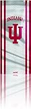 Skinit Protective Skin Fits iPod NANO 4G (INDIANA UNIVERSITY)