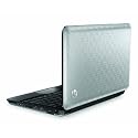 HP Mini 210 10.1-Inch Netbook (Silver)
