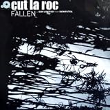 Fallen [12" VINYL]