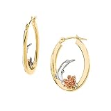 14K Tri Color Gold Dolphin Hoop Earrings