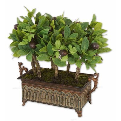 Uttermost 60079 Avocado Fruit Patina Finish