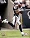 Andre Johnson Houston Texans 8x10 Photo