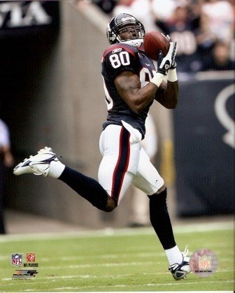 Andre Johnson Houston Texans 8x10 Photo