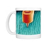 Needle playing a record, SEM Photo Mugs