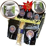 Dogs Bichon Frise - Bichon Frise Puppy - Coffee Gift Baskets - Coffee Gift Basket