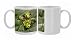 Photo Mugs of Knopper gall on acorns of common oak (Quercus robur) from Ardea Wildlife Pets