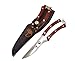 OakRidge Garden Tools Pruning Shears The Perfect Hand Pruners and Multi-Purpose Bypass Pruners - Garden Clippers and Garden Shears for Hedging and Clipping with Leather Sheath and Safety Lock