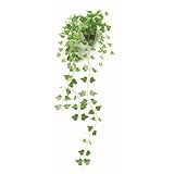 ���i�̏ڍ�