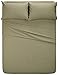 Amazon Brand – Pinzon Signature Cotton Heavyweight Velvet Flannel Sheet Set - Queen, Thyme Green