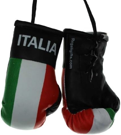 Mini Boxing Gloves - Italia