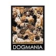 Dog Mania