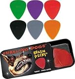Snarling Dogs Tin Box Brain Picks (1 Dozen .88mm)