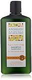 UPC 859975002034 product image for Andalou Naturals Argan& Sweet Orange Shampoo, 11.5 Ounce | upcitemdb.com