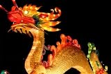 Dragon during Chinese New Years Lantern Festival - 18