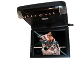 9.2'' Flip Down DVD Roof Mounted with TV Tuner and Antenna Included
