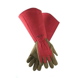 West County 054RM Gauntlet Rose Glove, Ruby, Medium