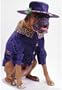 Big Daddy Dog Costume - Pet Costume