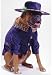 Big Daddy Dog Costume - Pet Costume