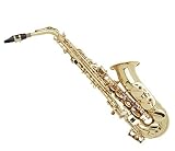 41T%2BR%2Boxb5L. SL160  Hazelton E Flat Alto Gold Lacquer Saxophone with Case