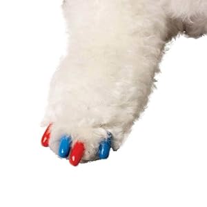 Soft claws nail caps for dogs Outlet