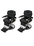 Set of 2 Professional KO All Purpose Hydraulic Barber Chairs