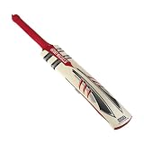 Gray-Nicolls Predator from Amazon.co.uk