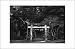 Gate - Japanese Shrine - Artist: Fumi K - Art Print on Canvas - Image Size: 12.50 by 8.50 inches Art Print on Canvas