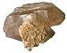 Smoky Quartz Cluster 01 Rare Star Mica Crystal Point Flower Gem Stone 5
