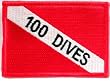 100 Dives Patch Embroidered Iron On Scuba Diving Diver Down Flag Emblem Souvenir